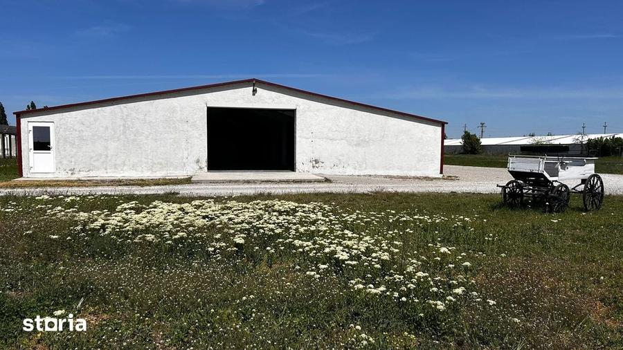 Spațiu comercial, de 120 mp, în Sântandrei