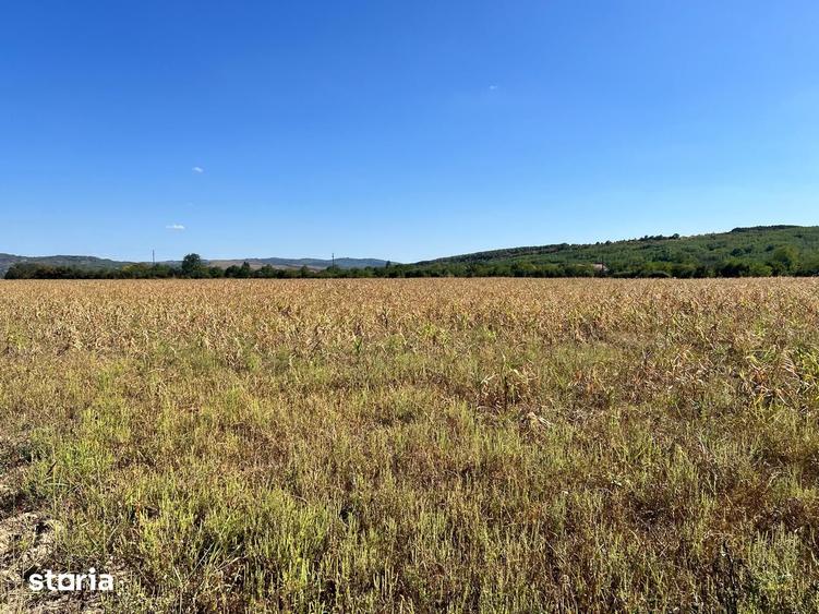 Teren de 1600 mp, în Podenii Noi