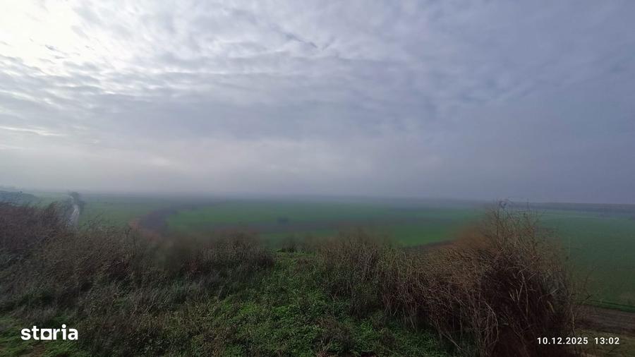 Teren de 3801 mp, în Dăeni