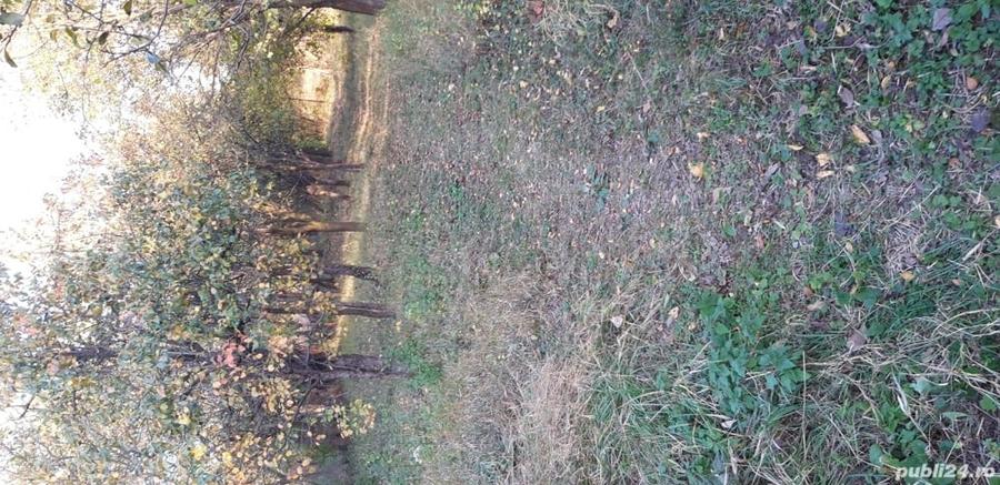 Teren de 600 mp, în Răhău