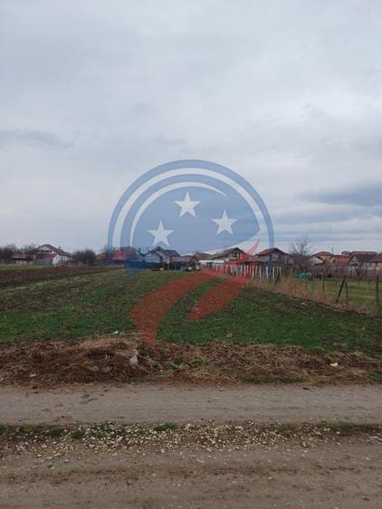 Teren de 1000 mp, în Central