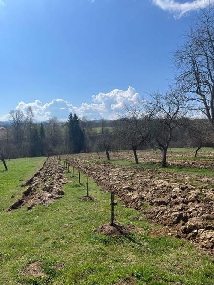 Casa si terenul aferent de 2 ha intravilan - 8