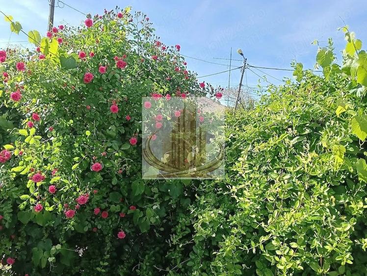 Teren de 664 mp, în Mehala