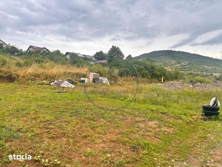 Teren de 550 mp, în Viișoara