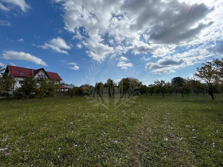 Teren Construcții intravilan de 11000 mp, în Central