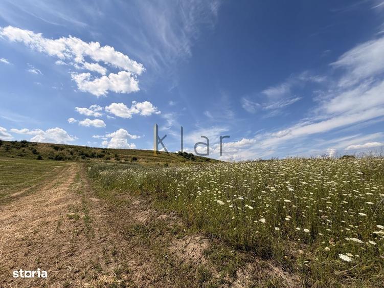 Teren 2900 m2 in Aiton ideal pentru investitie - 4