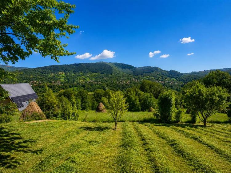 Casă individuală cu 7 camere cu Teren 4290 Mp în Valea Doftanei