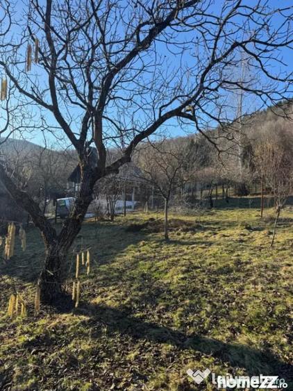 Casă cu 4 camere cu Teren 1000 Mp în Firiza