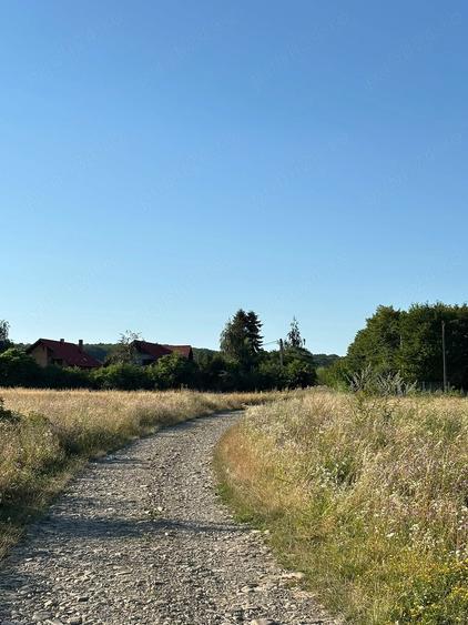 Teren de 4000 mp, în Dragomirna