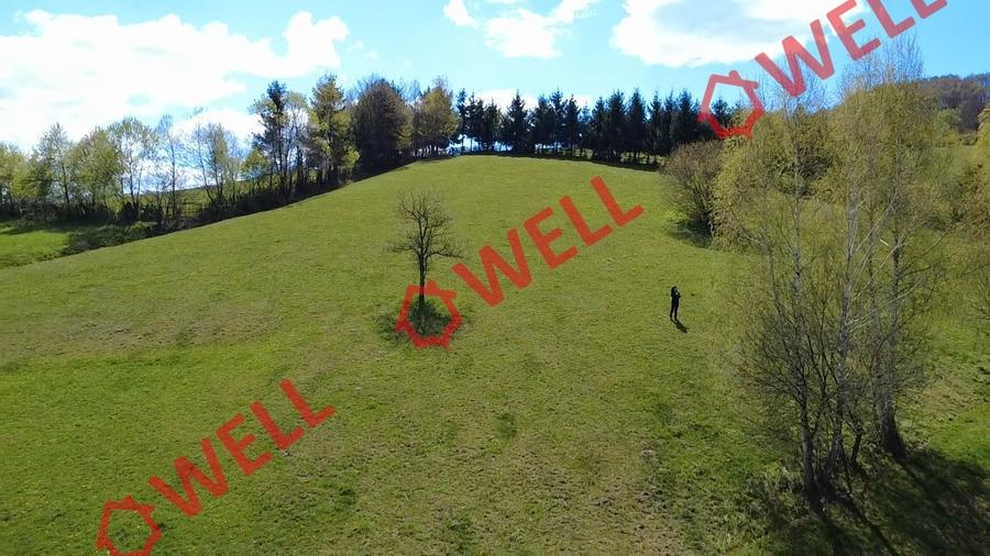 Teren extravilan de 8157 mp, în Sita Buzăului