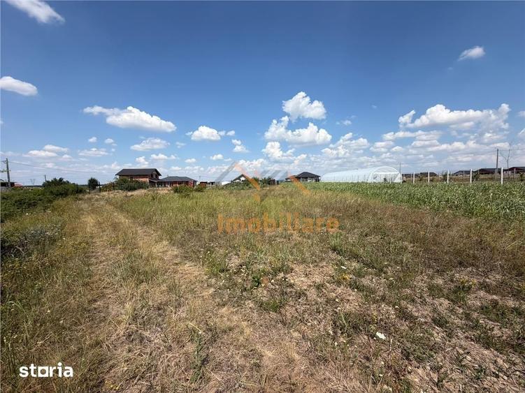 TEREN INTRAVILAN | 1044 MP | CIHEI | BIHOR - 1