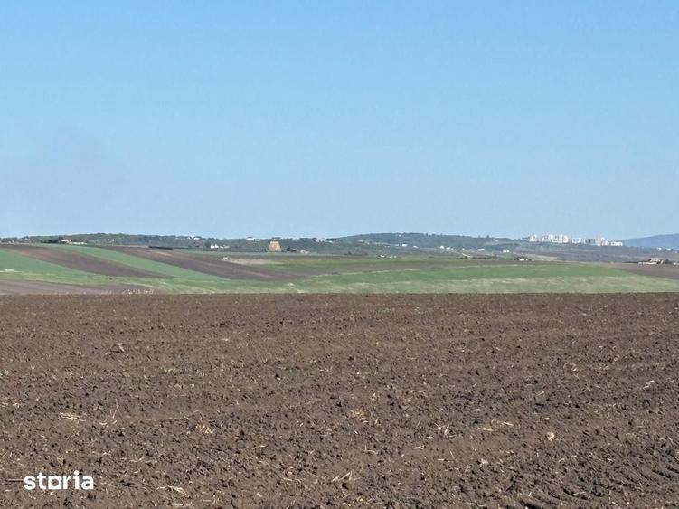 Teren de 5000 mp, în Rediu