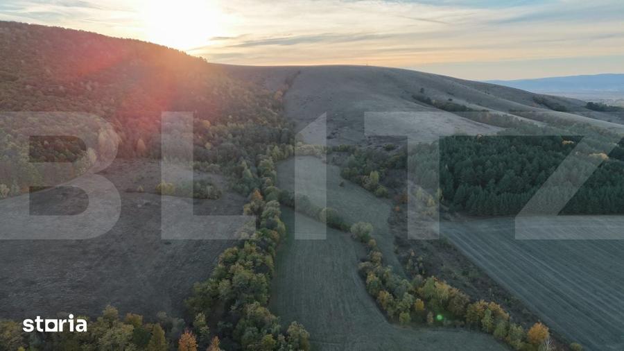 Teren de 36200 mp, în Ozun