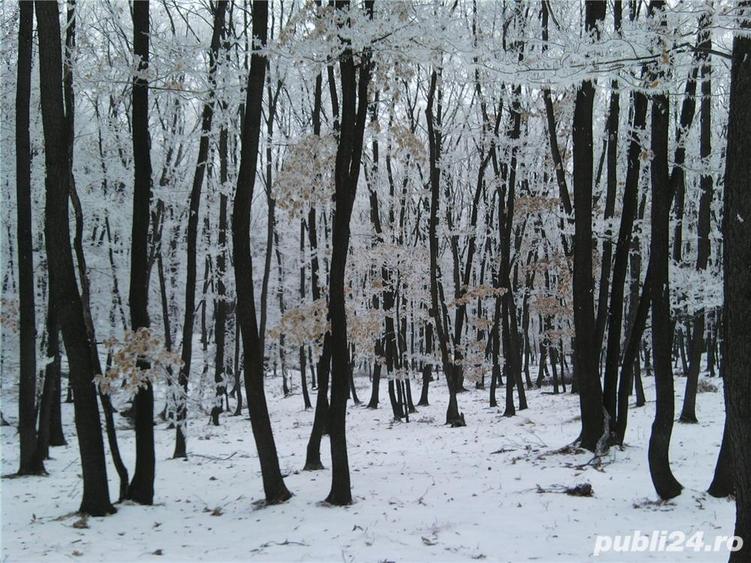 Teren de 16950 mp, în Blaj