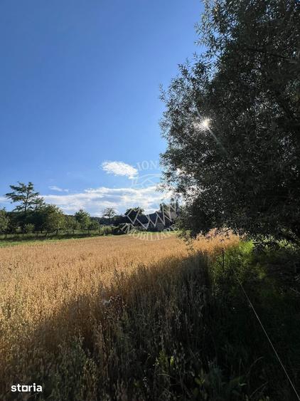 Teren de 6800 mp, în Șieu