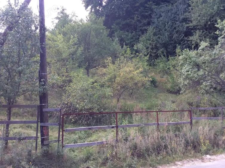 Teren de 887 mp, în Central