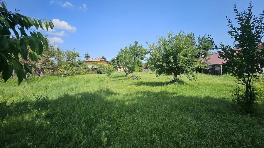 Teren intravilan 1400mp, deschidere 20mp, Snagov - 5