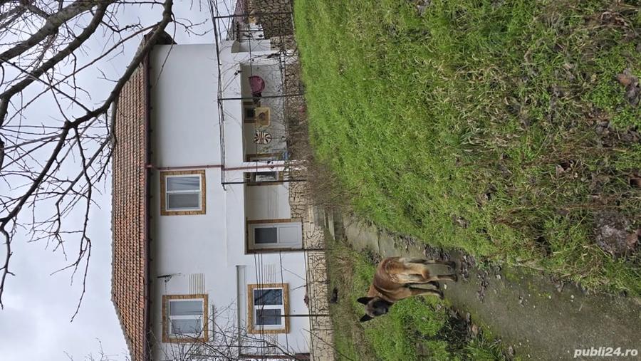 Casă cu 5 camere în Central