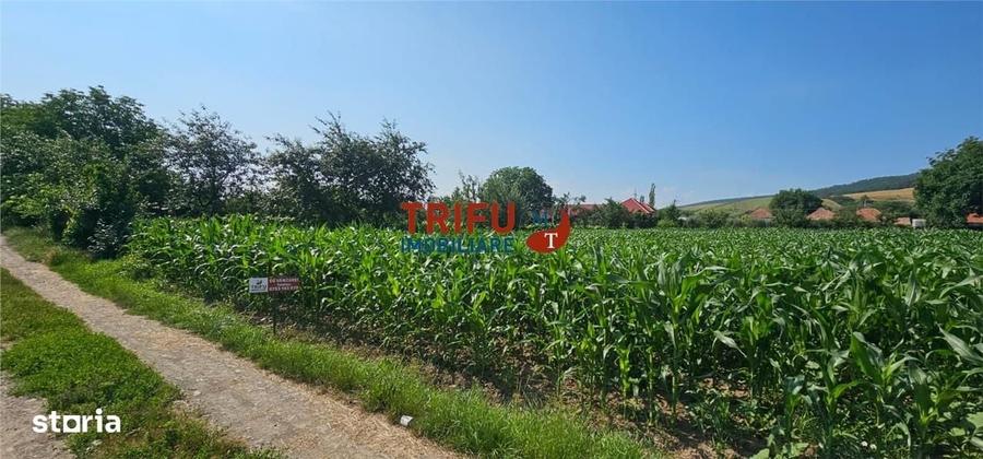 Spațiu comercial, în Șard