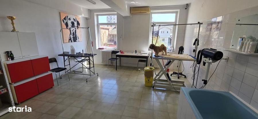 Inchiriere spatiu in vila Sebastian LIDL ideal birouri - 2