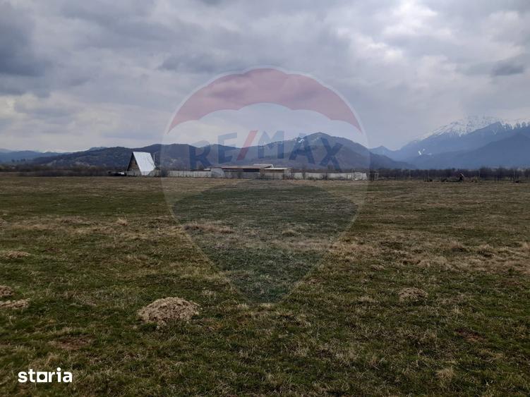 Teren de 10000 mp, în Pănicel