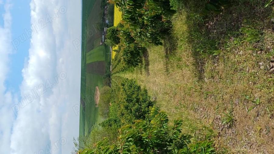 Teren de 100000 mp, în Bârzești