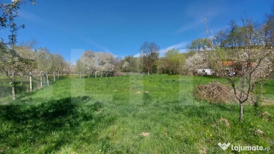 Casă cu 2 camere cu Teren 3100 Mp în Lisnău