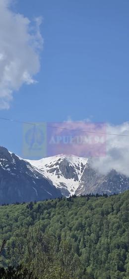 Apartament cu 2 camere de vanzare in Azuga - 4