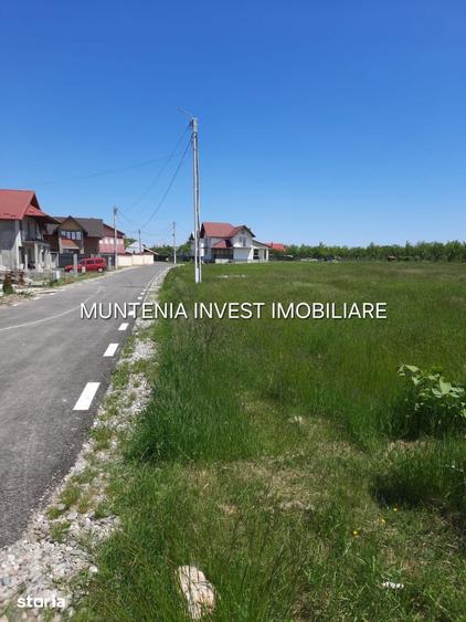 Teren de 630 mp, în Albota