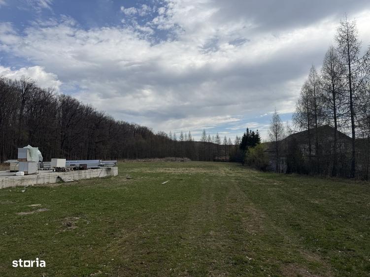 Spațiu comercial, în Mitocu Dragomirnei