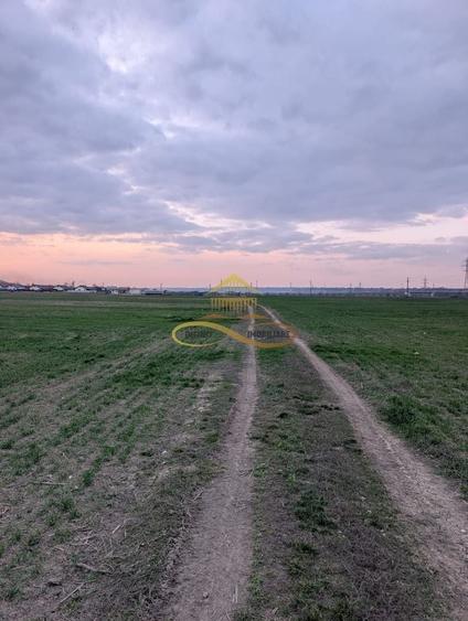 Teren agricol intravilan de 7774 mp, în Lilieci