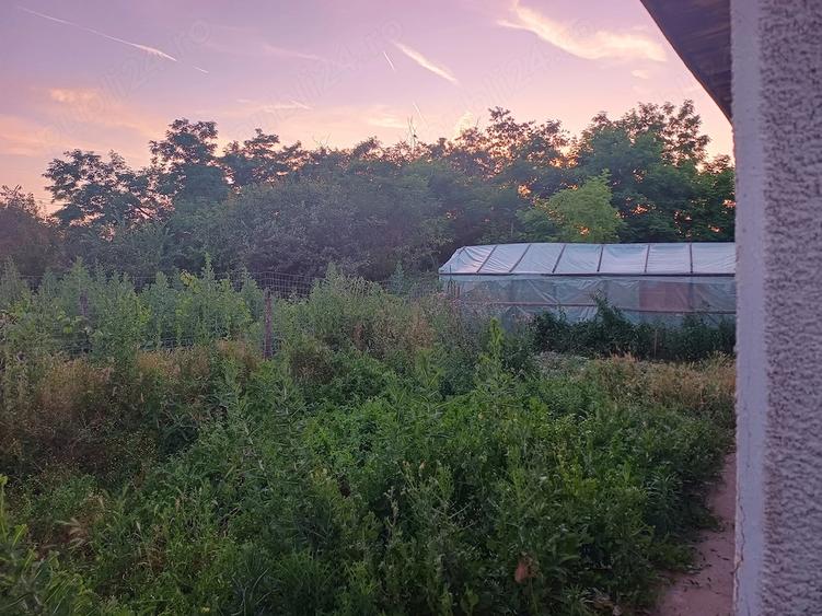 Casă cu 3 camere cu Teren 2500 Mp în Central
