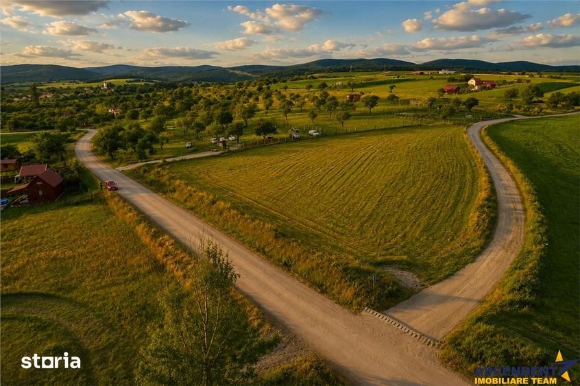 3.800mp recomandat: investitie,rezidenta vacanta,domeniu privat,Valea - 1