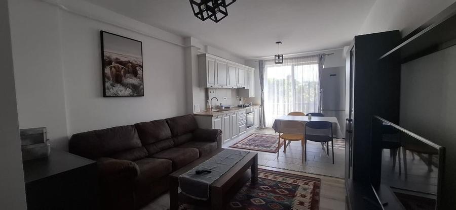 Apartament cu 2 camere decomandat, mobilat în Copou