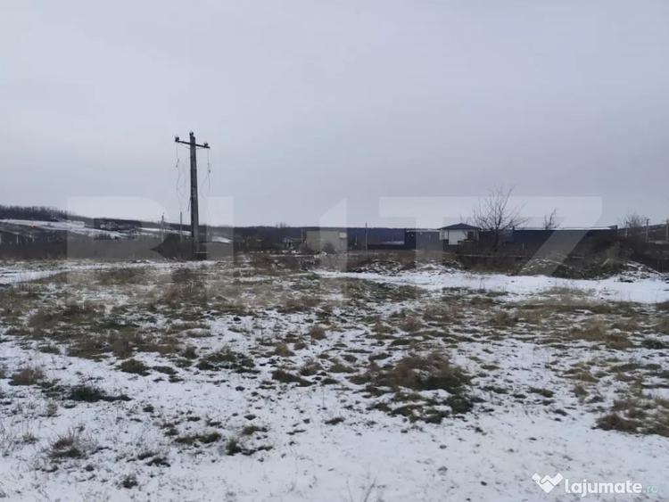 Teren de 2570 mp, în Dumbrava (Ciurea)