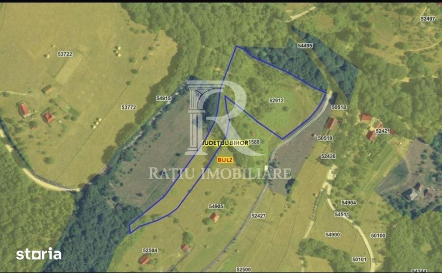 Teren 10.900mp | Panorama in Apuseni | Reme?i Ideal pentru Investitii - 2