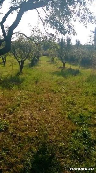 Teren de 6200 mp, în Central