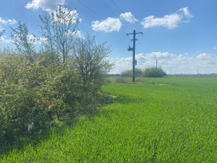 Teren Construcții intravilan de 5808 mp, în Săbăreni