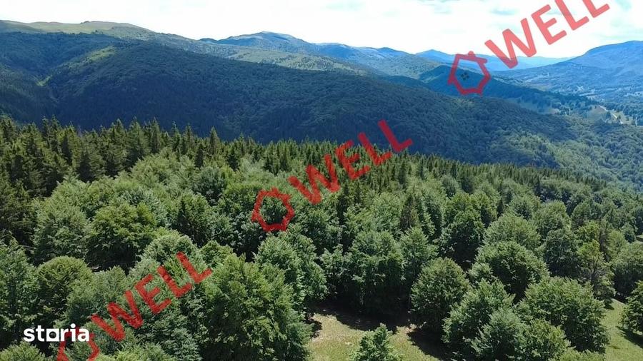 Teren de 23000 mp, în Vama Buzăului