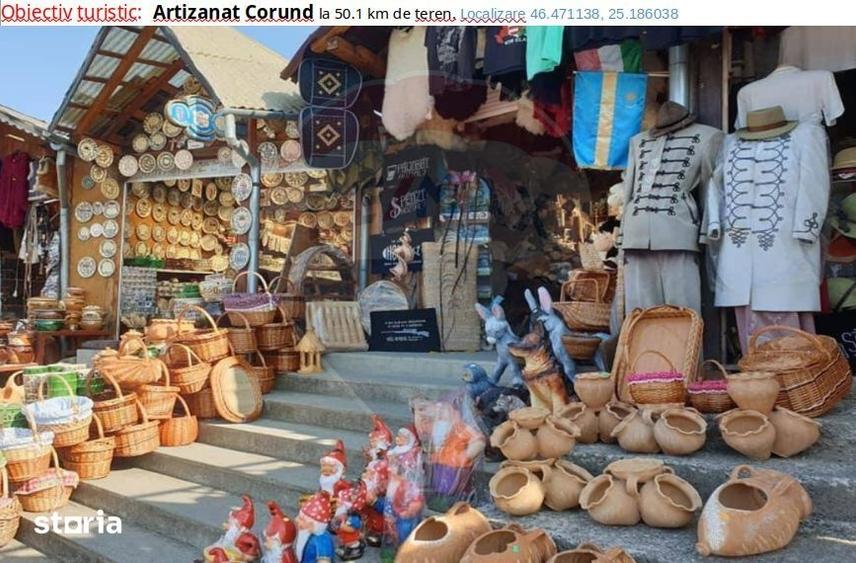 Teren de 40000 mp, în Suseni