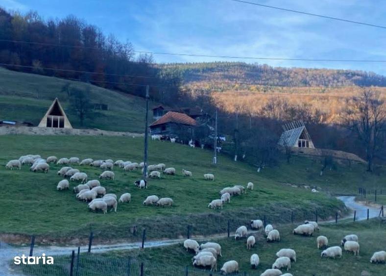 Casă cu 3 camere cu Teren 500 Mp în Bulz