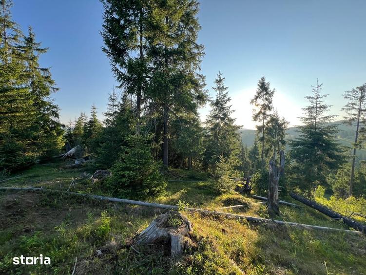 Teren de 500000 mp, în Ciocănești