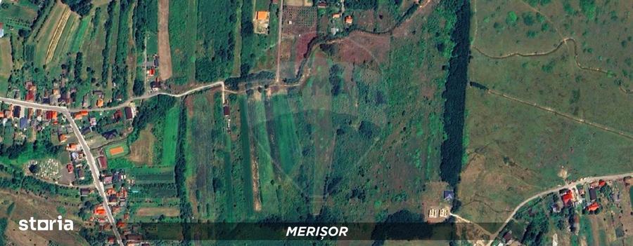 Teren de 10000 mp, în Tăuții-Măgherăuș
