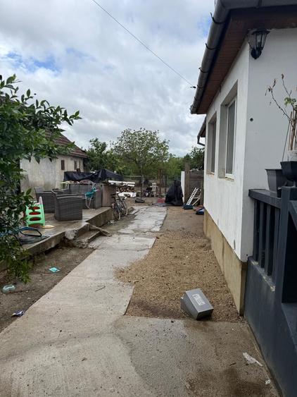 Vand casa Paulis - 2