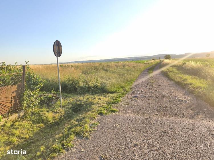 Teren intravilan 3500 mp in Ernei, cu utilitati langa teren! - 4