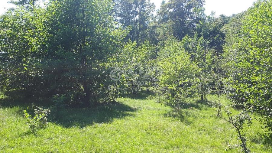Teren Construcții extravilan de 5000 mp, în Câmpulung Muscel