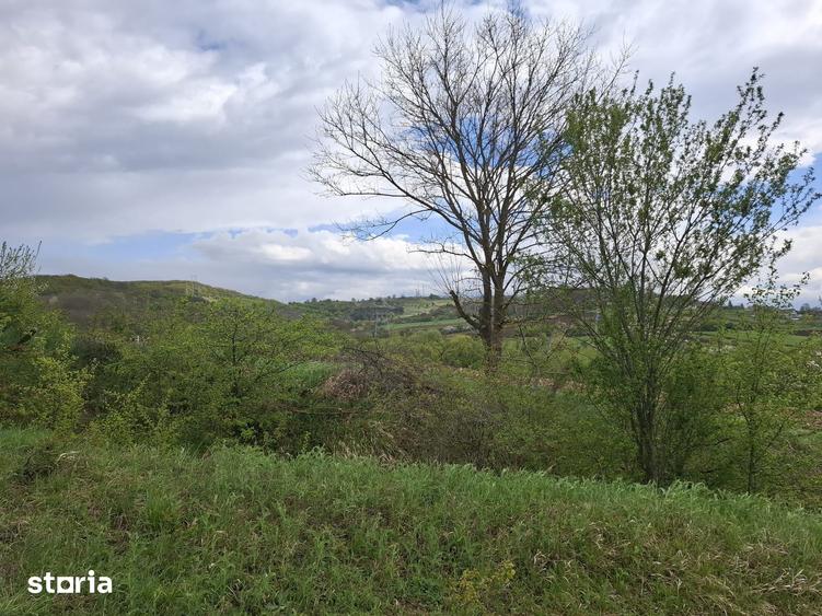 Parcele de teren intravilan cu utilitati-Rasinari-Sibiu - 2