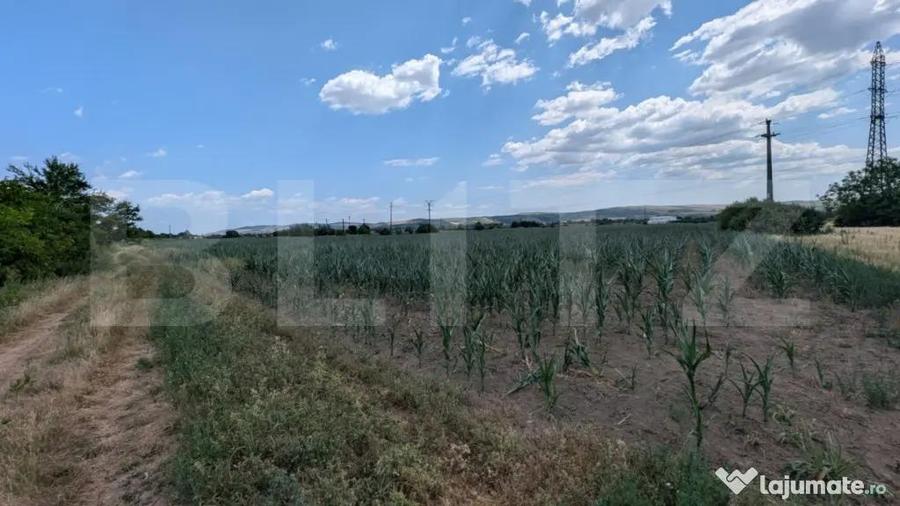 Teren de 3900 mp, în Central