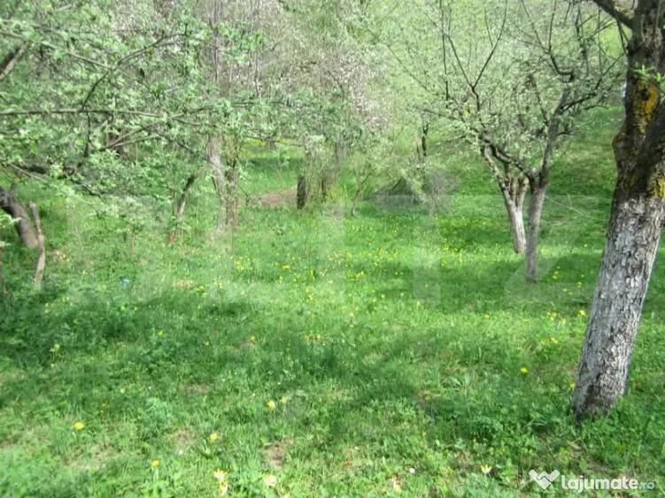 Teren în Central