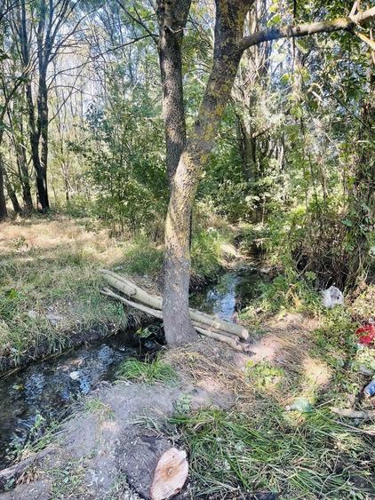 Teren de 5000 mp, în Valea Părului